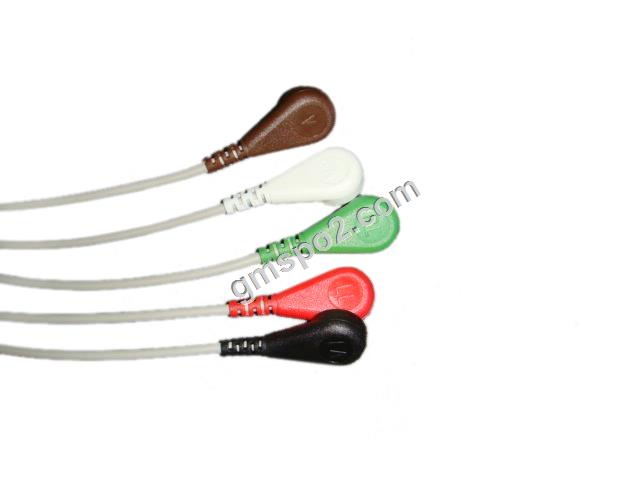 5-lead aha snap-.jpg 5-lead aha snap-.jpg