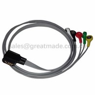 Yhteensopiva Philips Digitrak Plus 24 tunnin Holter 3100A, 5-johdin, napsautus